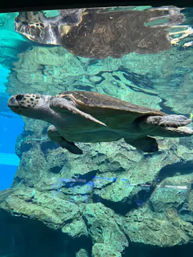 名古屋港水族館に投稿された画像（2022/5/4）