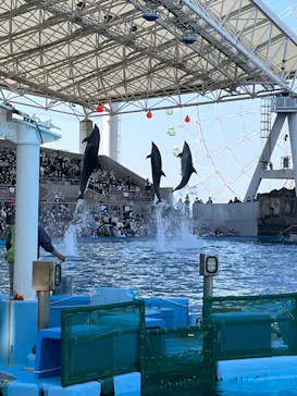 名古屋港水族館に投稿された画像（2022/5/4）