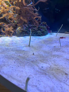 名古屋港水族館に投稿された画像（2022/5/4）