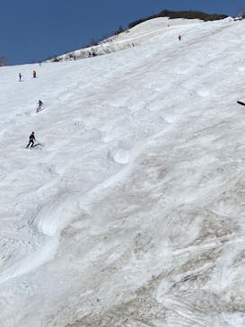 Hakuba47ウィンタースポーツパークに投稿された画像（2022/5/4）