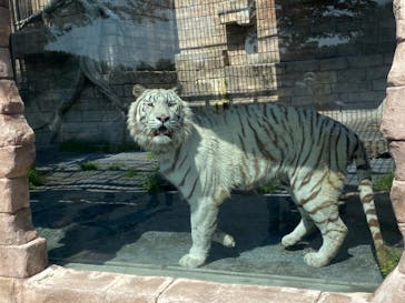 東武動物公園に投稿された画像（2022/5/4）