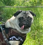 わんダフルネイチャーヴィレッジに投稿された画像（2022/5/4）