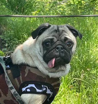 わんダフルネイチャーヴィレッジに投稿された画像（2022/5/4）