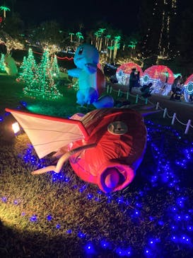 美らヤシパークオキナワ・東南植物楽園に投稿された画像（2022/5/4）