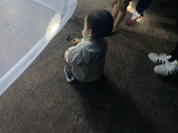 美らヤシパークオキナワ・東南植物楽園に投稿された画像（2022/5/4）