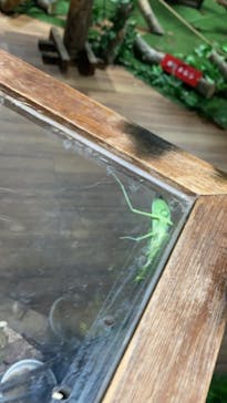 美らヤシパークオキナワ・東南植物楽園に投稿された画像（2022/5/4）