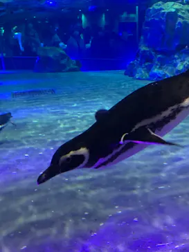 すみだ水族館に投稿された画像（2022/5/4）