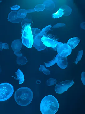 すみだ水族館に投稿された画像（2022/5/4）