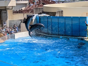 新江ノ島水族館に投稿された画像（2022/5/4）