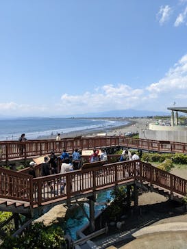 新江ノ島水族館に投稿された画像（2022/5/4）