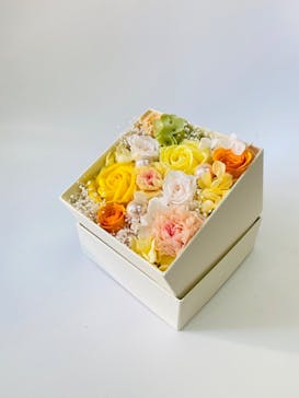 ずこうしつ〜sugamo〜に投稿された画像（2022/5/4）