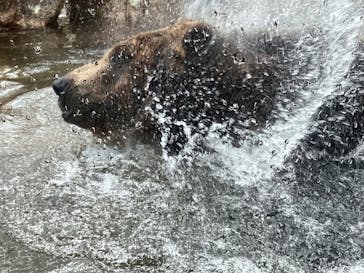 サホロリゾート　ベア･マウンテンに投稿された画像（2022/5/4）