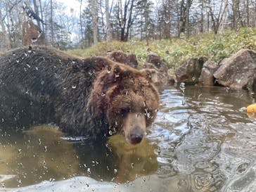 サホロリゾート　ベア･マウンテンに投稿された画像（2022/5/4）