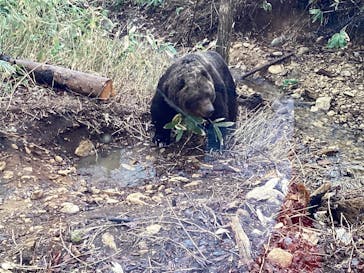サホロリゾート　ベア･マウンテンに投稿された画像（2022/5/4）