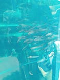 環境水族館アクアマリンふくしまに投稿された画像（2022/5/4）
