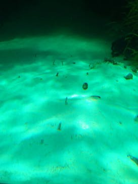 環境水族館アクアマリンふくしまに投稿された画像（2022/5/4）