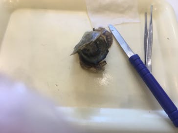 九十九島水族館海きららに投稿された画像（2022/5/4）