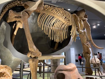 滋賀県立琵琶湖博物館に投稿された画像（2022/5/4）