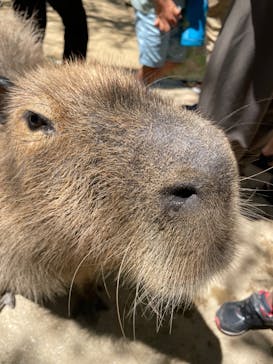 長崎バイオパークに投稿された画像（2022/5/4）