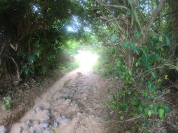 武藤潜水に投稿された画像（2022/5/4）