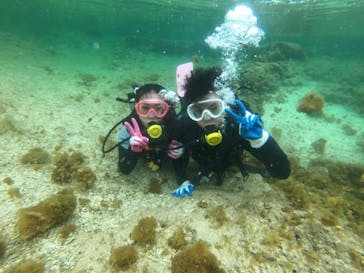 武藤潜水に投稿された画像（2022/5/4）