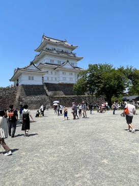 小田原城に投稿された画像（2022/5/4）