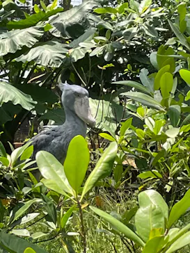 神戸どうぶつ王国に投稿された画像（2022/5/4）