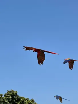 神戸どうぶつ王国に投稿された画像（2022/5/4）