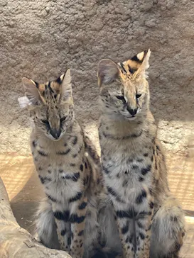 神戸どうぶつ王国に投稿された画像（2022/5/4）