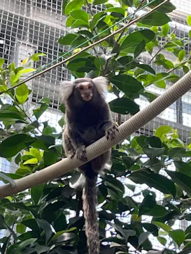 神戸どうぶつ王国に投稿された画像（2022/5/4）