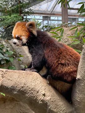 神戸どうぶつ王国に投稿された画像（2022/5/4）