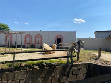 東武動物公園に投稿された画像（2022/5/4）