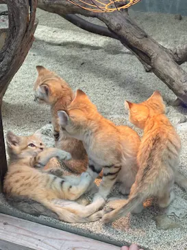 神戸どうぶつ王国に投稿された画像（2022/5/4）