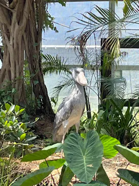 神戸どうぶつ王国に投稿された画像（2022/5/4）