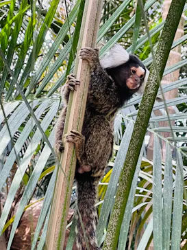 神戸どうぶつ王国に投稿された画像（2022/5/4）