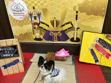 わんダフルネイチャーヴィレッジに投稿された画像（2022/5/4）