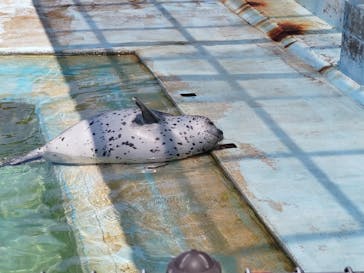 越前松島水族館に投稿された画像（2022/5/4）