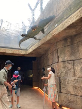 沖縄こどもの国に投稿された画像（2022/5/4）