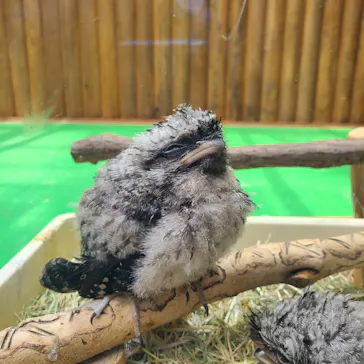 神戸どうぶつ王国に投稿された画像（2022/5/4）