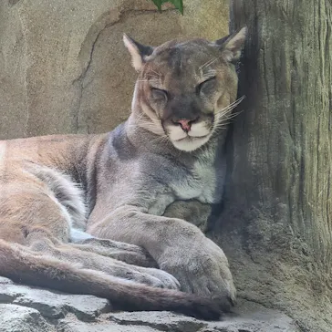 神戸どうぶつ王国に投稿された画像（2022/5/4）