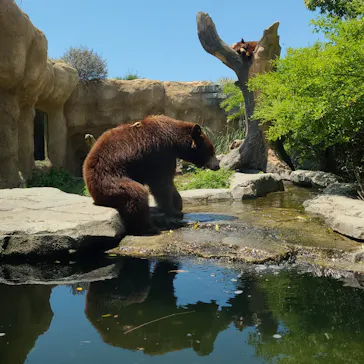 神戸どうぶつ王国に投稿された画像（2022/5/4）