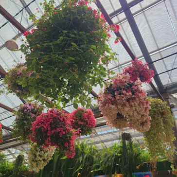 神戸どうぶつ王国に投稿された画像（2022/5/4）