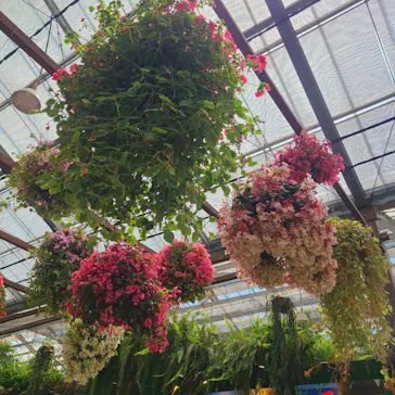 神戸どうぶつ王国に投稿された画像（2022/5/4）