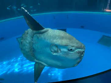 横浜・八景島シーパラダイスに投稿された画像（2022/5/4）