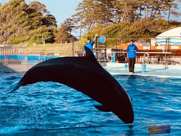 越前松島水族館に投稿された画像（2022/5/4）