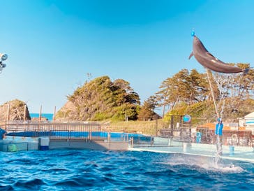 越前松島水族館に投稿された画像（2022/5/4）