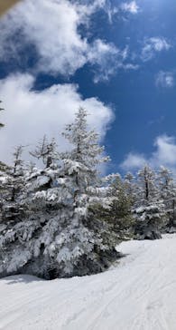 志賀高原マウンテンリゾートに投稿された画像（2022/5/4）