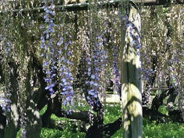 京阪電車に投稿された画像（2022/5/4）