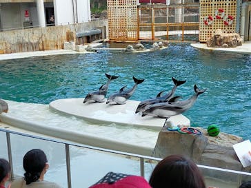 城崎マリンワールドに投稿された画像（2022/5/4）