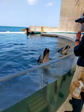 城崎マリンワールドに投稿された画像（2022/5/4）